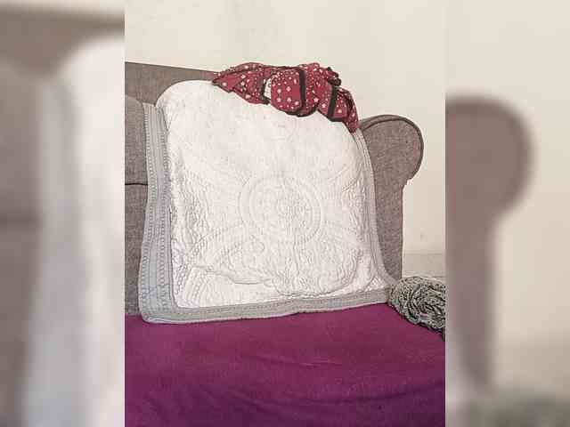 Mrsanaconda webcam