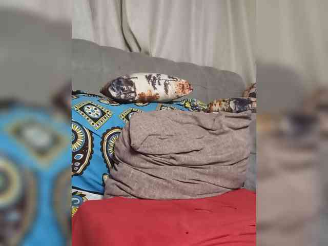 Mrsanaconda webcam