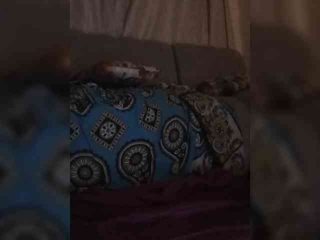 Mrsanaconda webcam