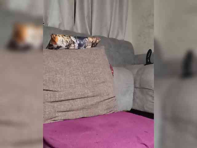 Mrsanaconda webcam