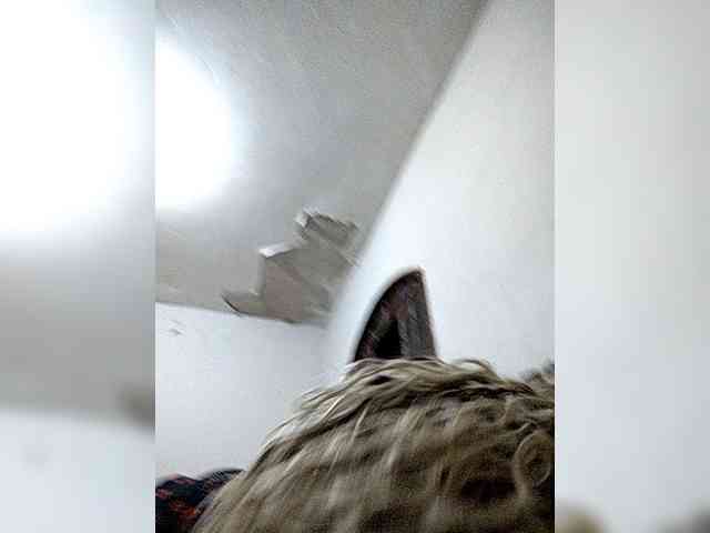 Lisagi webcam
