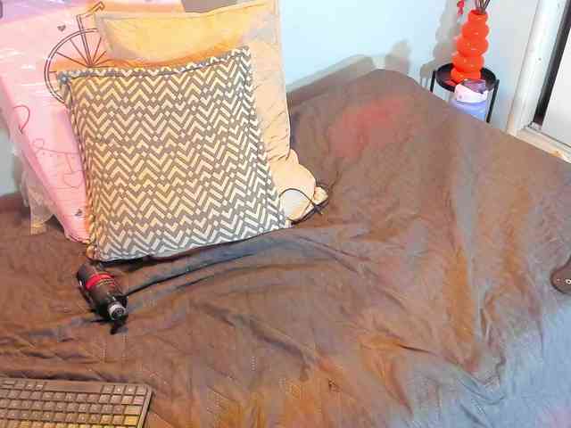 Karlaliones webcam