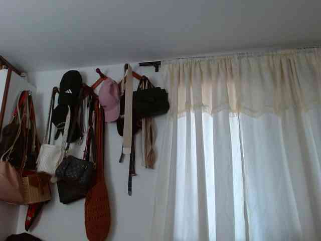 Briggiteskyangels webcam