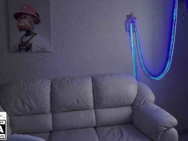 STemptation webcam