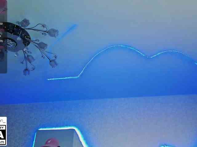STemptation webcam