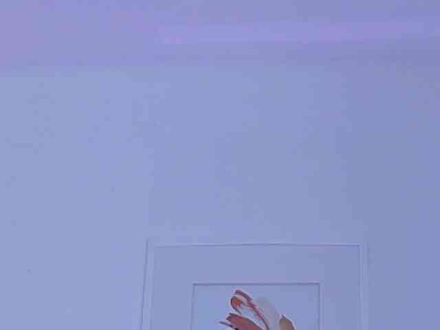cutepetitee webcam