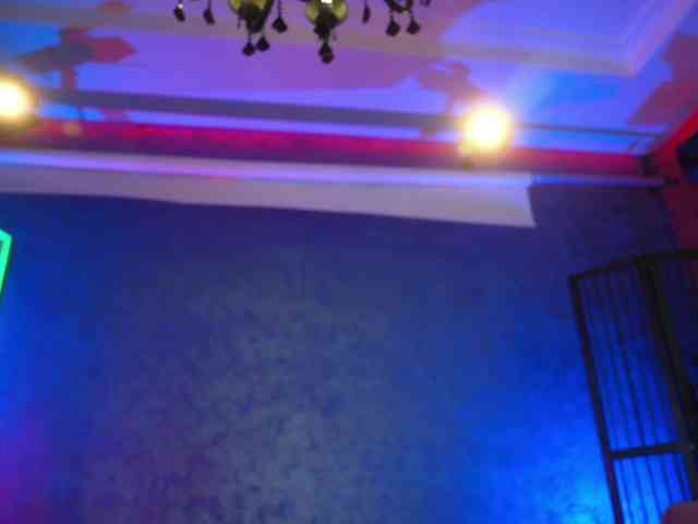 EvaFashionista Live Webcam on BongaCams