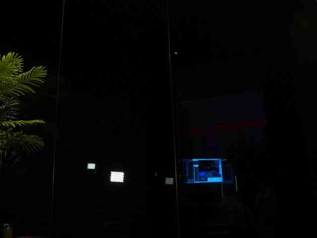 EvaFashionista webcam
