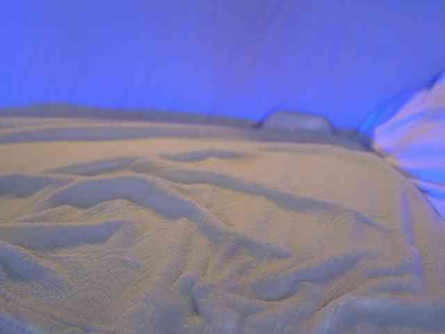 EvaFashionista webcam