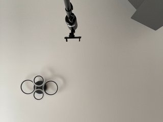 Potifays Porn Show