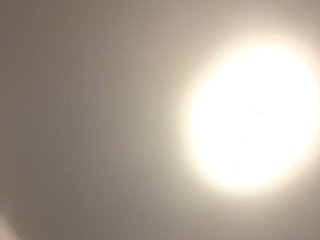 Potifays Porn Show