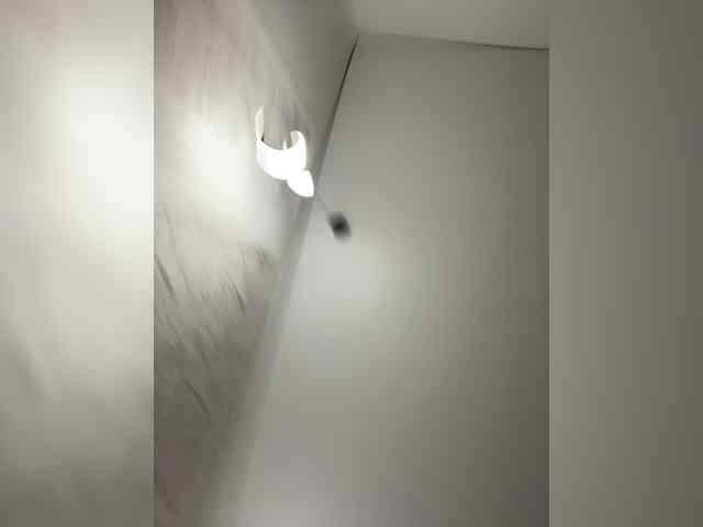 Potifays webcam