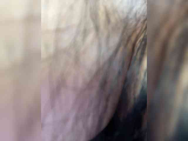 Potifays webcam