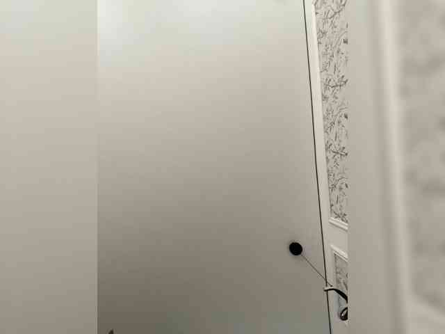 Potifays webcam
