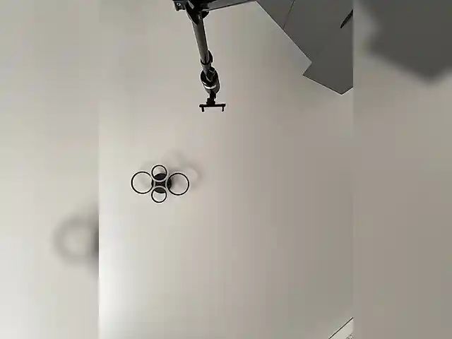 Potifays