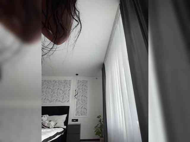 Potifays webcam