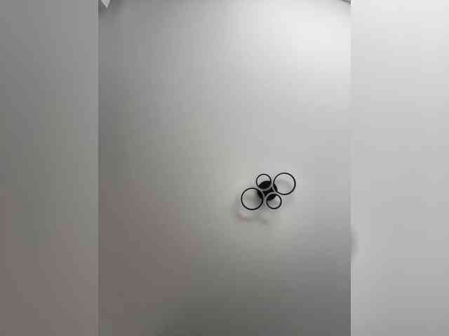 Potifays webcam
