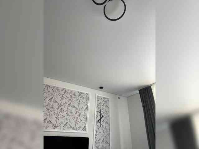 Модель: Potifays