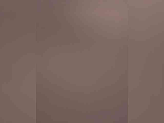 Potifays webcam