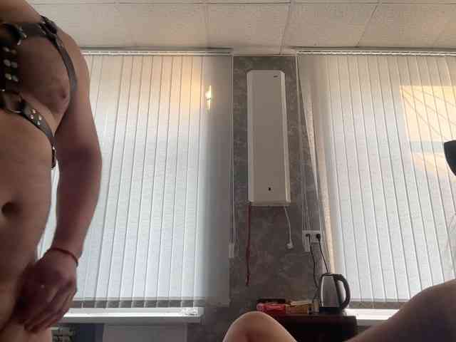 DobermanFOX webcam