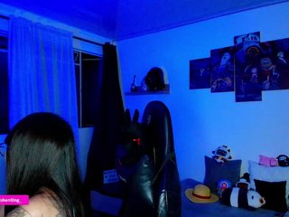 Nicorobin Porn Show
