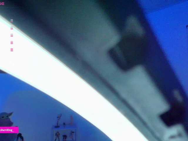 Nicorobin webcam