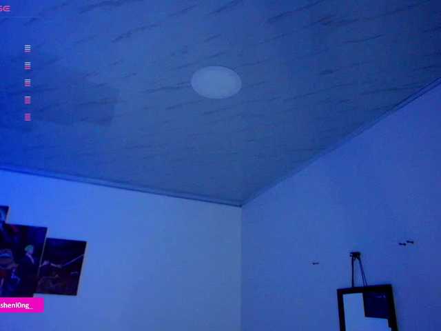 Nicorobin live cam