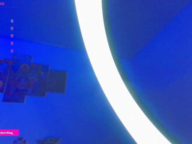 Nicorobin live cam