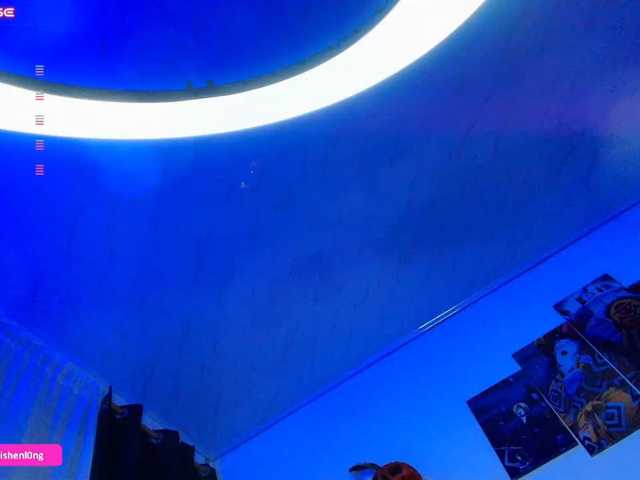 Nicorobin live cam