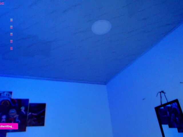 Nicorobin webcam