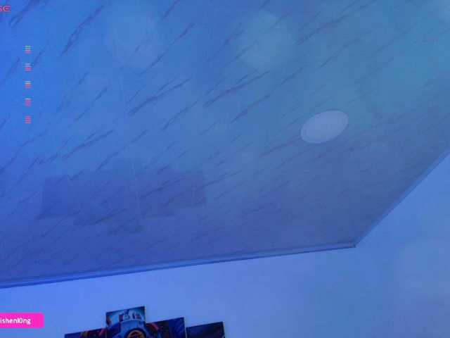 Nicorobin live cam preview