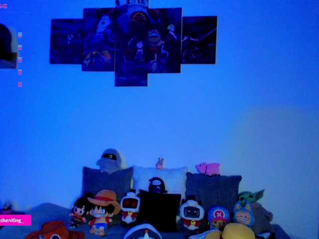 Preview of nicorobin