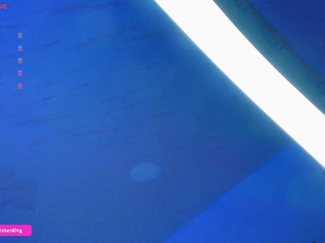 Nicorobin live cam preview