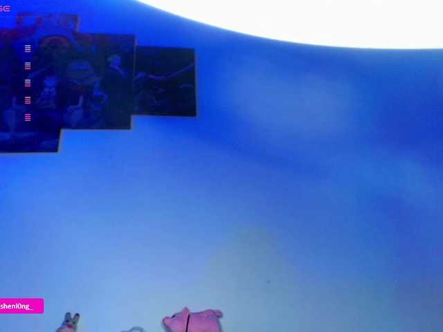 Preview of nicorobin