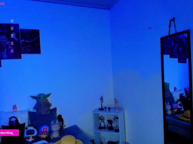 Nicorobin webcam