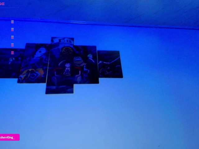 Preview of nicorobin