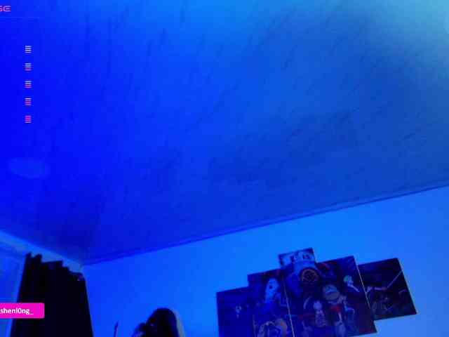 Nicorobin webcam