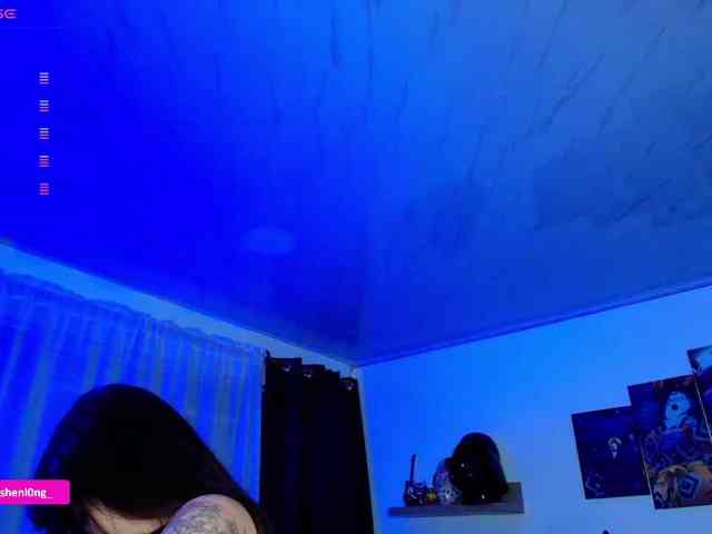 Nicorobin webcam