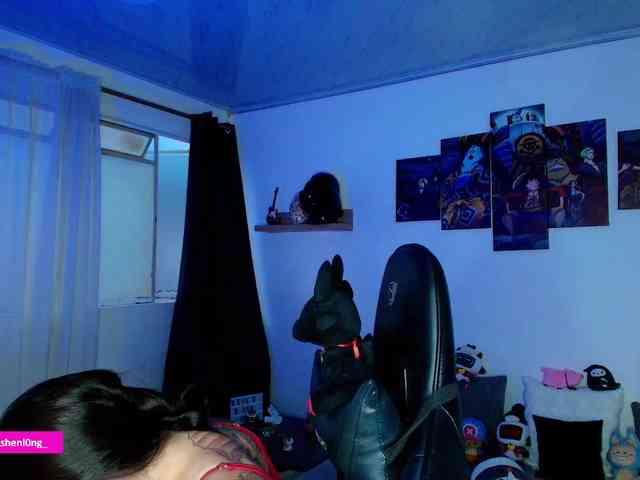 Nicorobin webcam