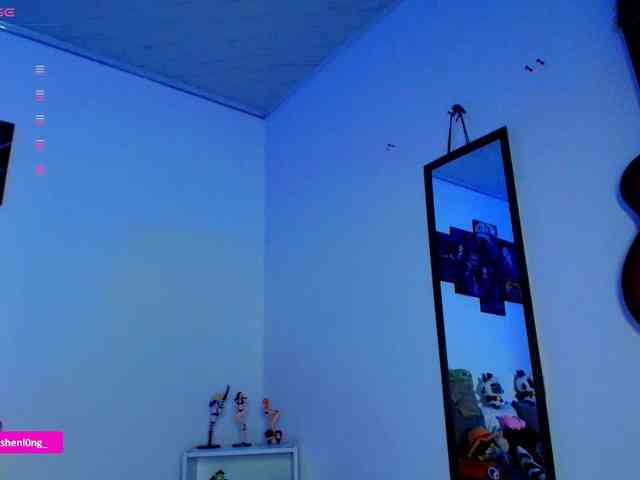 Nicorobin webcam