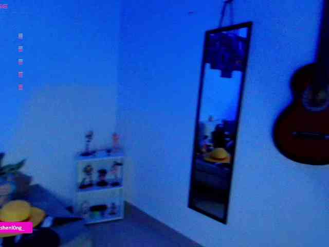 Nicorobin webcam