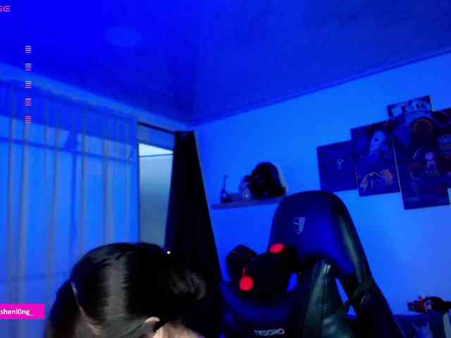 Nicorobin webcam