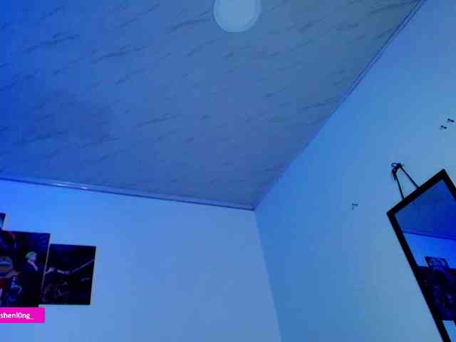 Nicorobin webcam