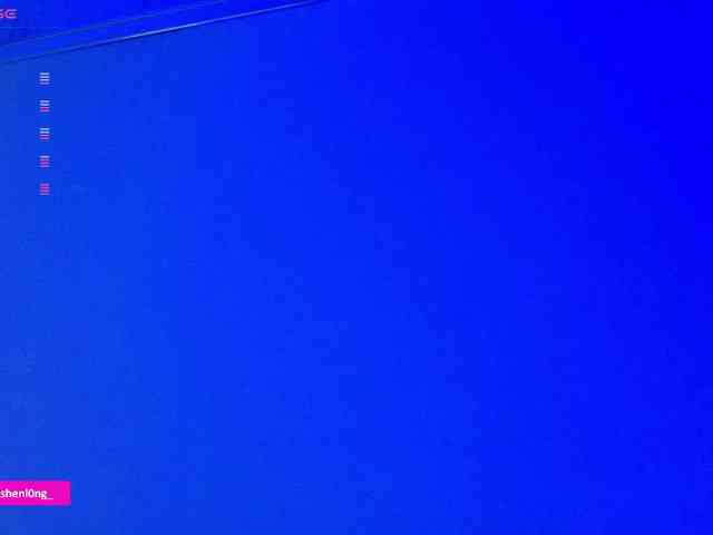 Nicorobin webcam