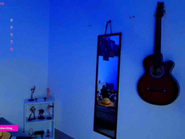 Nicorobin webcam