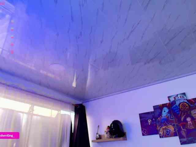Nicorobin webcam