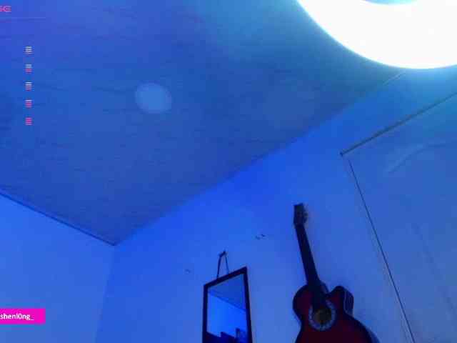 Nicorobin webcam