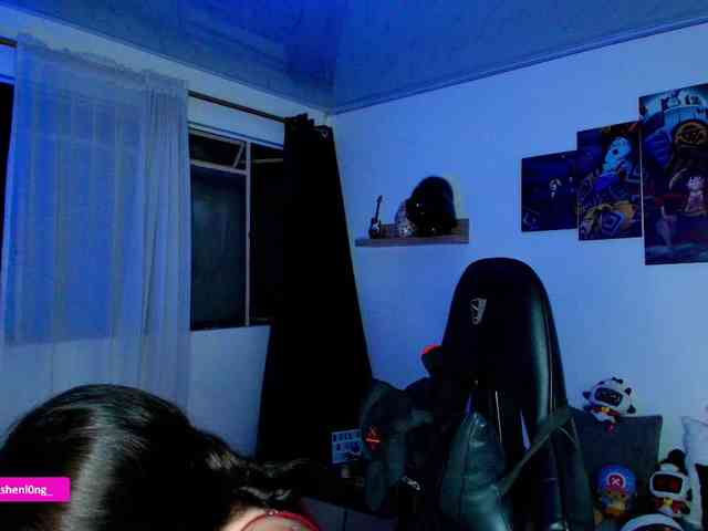 Nicorobin webcam
