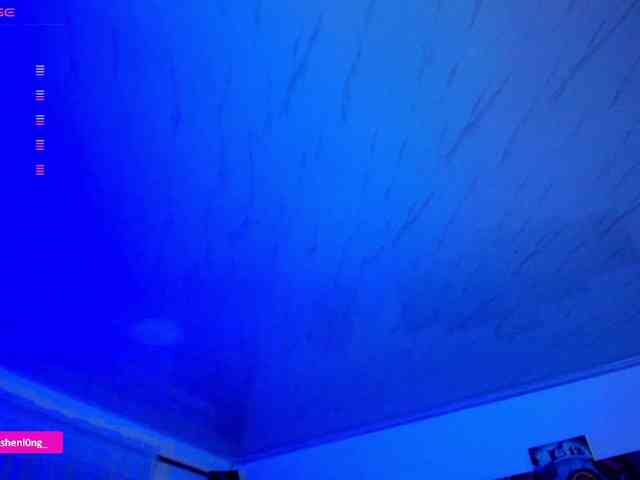 Nicorobin webcam