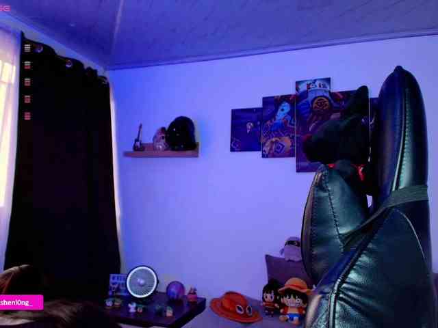 Nicorobin webcam
